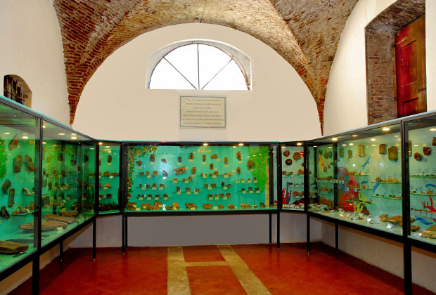 Museo dei Fossili - Lugo di Vicenza